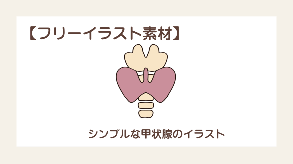 かんたんで可愛い甲状腺のイラスト【フリーイラスト素材】