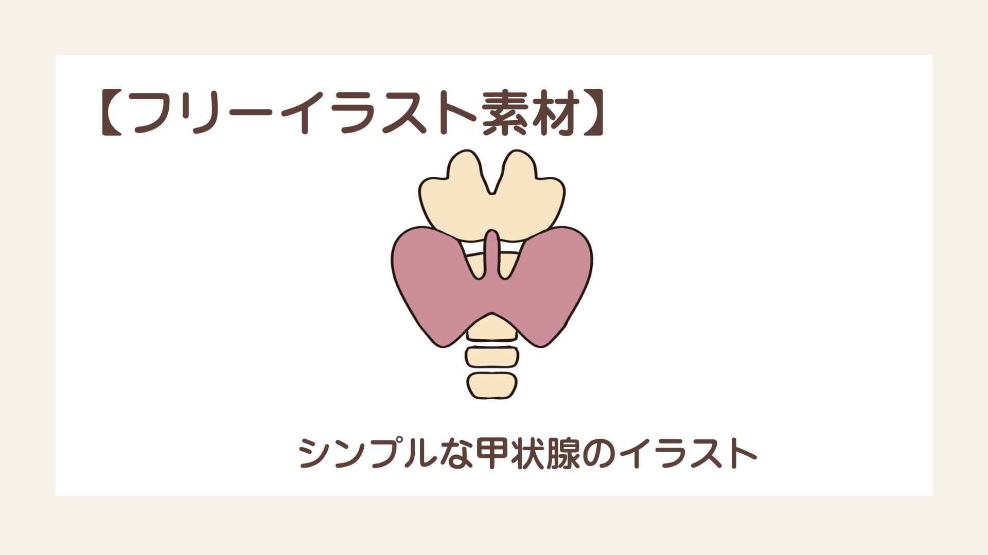 かんたんで可愛い甲状腺のイラスト【フリーイラスト素材】