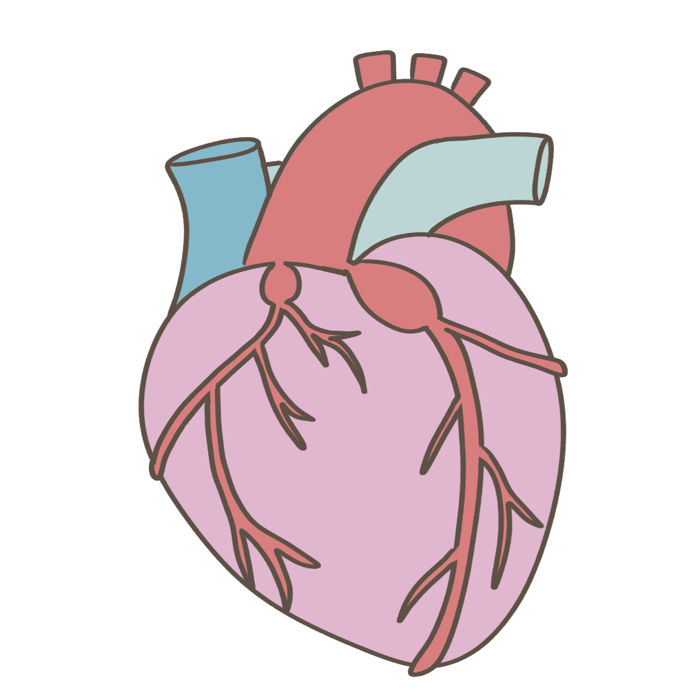 心臓の冠動脈瘤をイメージした無料イラスト素材