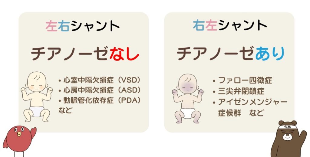 左右シャントと右左シャントをわかりやすく示した図解イラスト