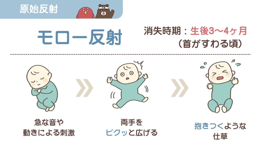 原始反射・モロー反射のイラスト図解｜小児看護国試対策