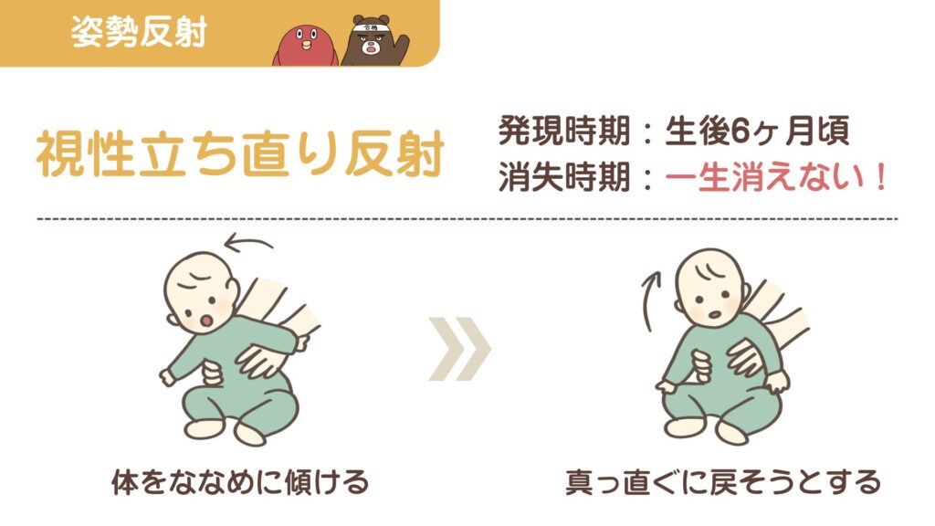 視性立ち直り反射のイラスト図解。出現時期（6ヶ月頃）と一生消えない特徴｜小児姿勢反射