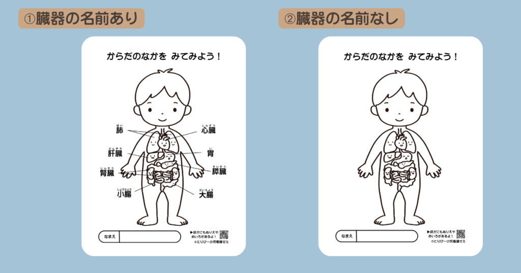 かわいい人体図・臓器キャラクターの無料ぬりえ2種類(臓器の名前あり・なし)