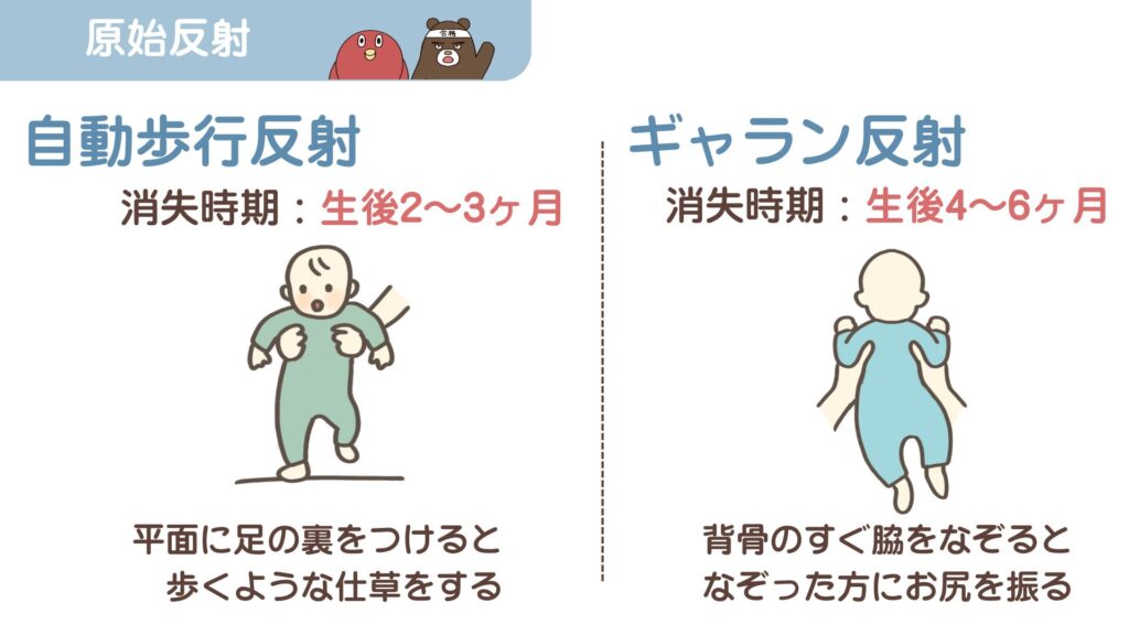 原始反射・自動歩行反射とギャラン反射のイラスト図解｜小児看護国試対策