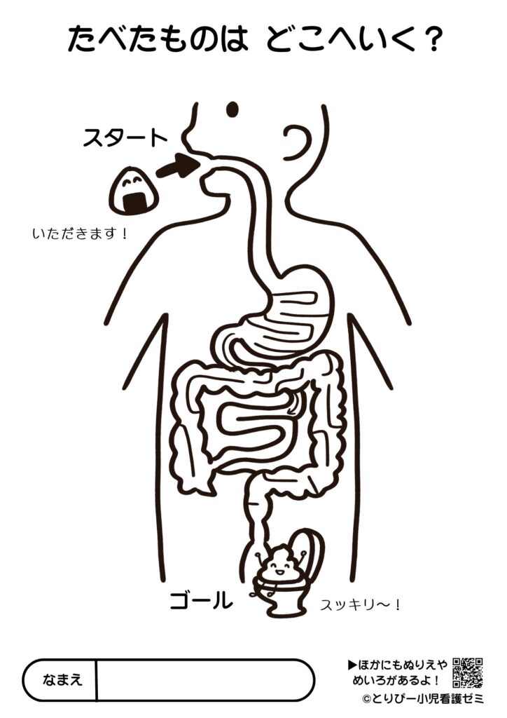 食べたものはどこへ行く？消化管めいろ。小児科クリニックや小児実習、自宅での知育におすすめな無料プリント・