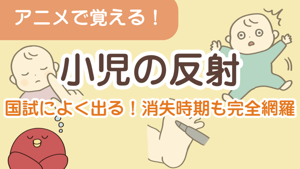 小児の原始反射・姿勢反射をイラストで完全攻略!消失時期と発言時期のポイント解説【国試対策】